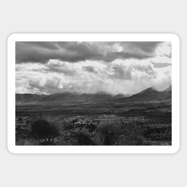 Desert Storm In Black And White Sticker by JimDeFazioPhotography